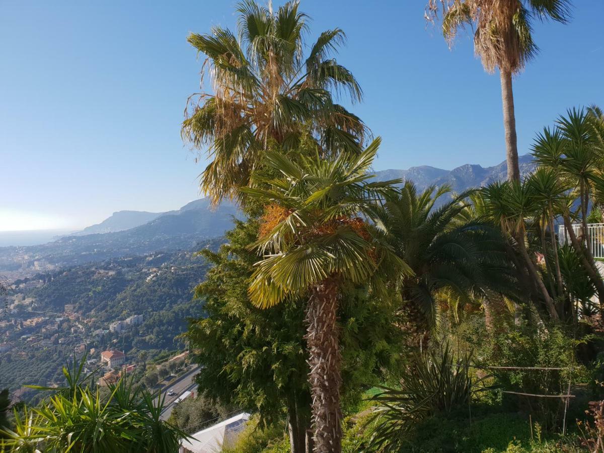 Villa Panoramica Menton Bagian luar foto